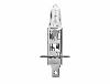 Ampoule 12v 55w p14,5s, h1