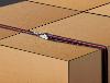 Sangle 150 x 2.5 cm 250 kg