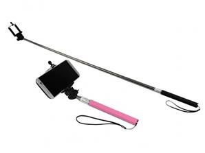 Selfie stick rose