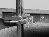Béquille de stationnement fixation