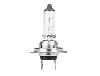Ampoule 12v 55w px26d, h7